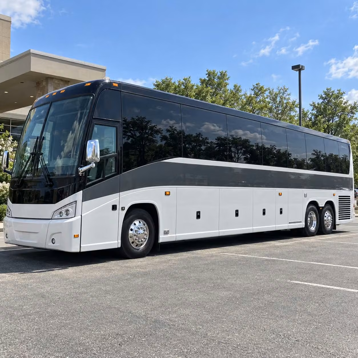 charter buses for san mateo school trips to the bay area s top museums and science centers