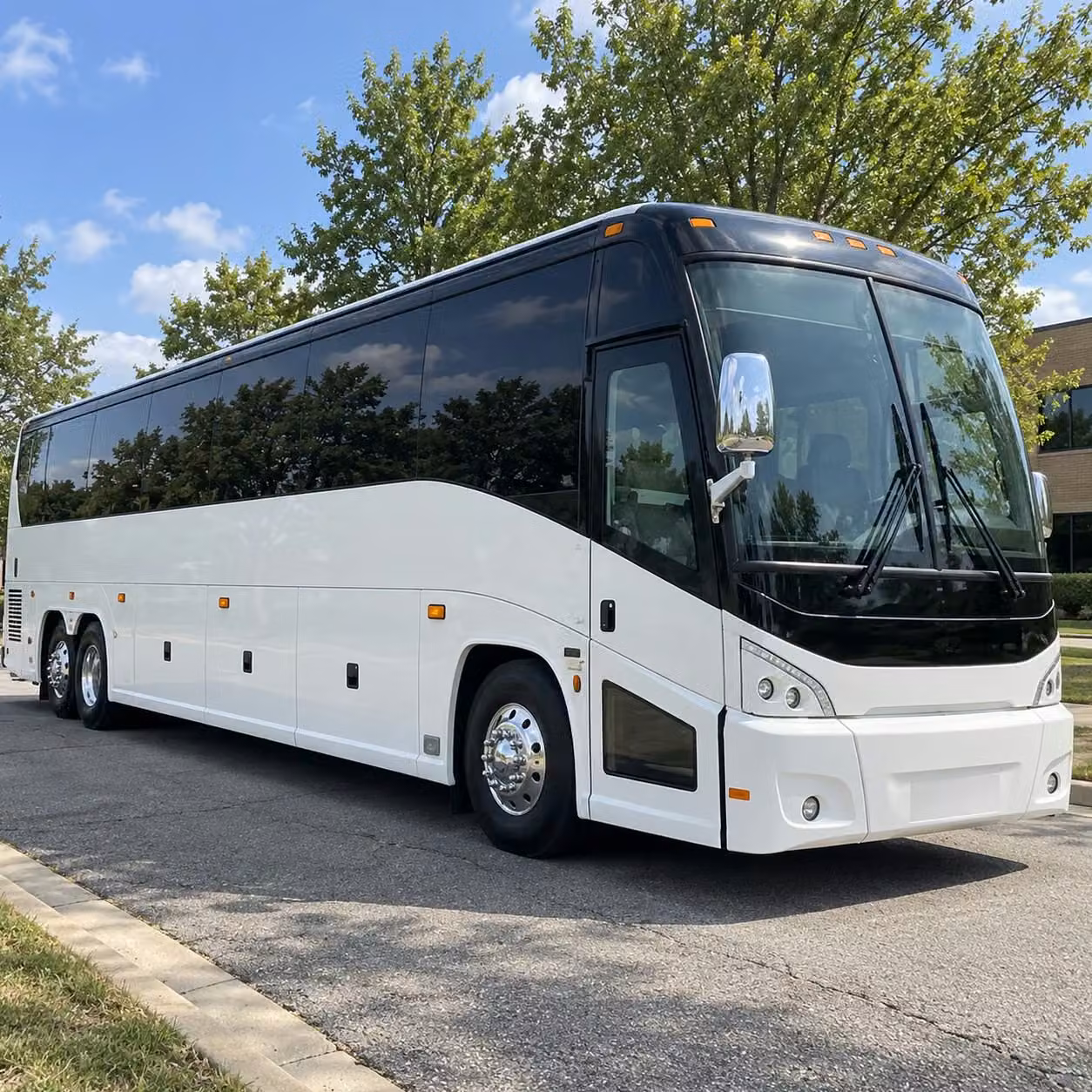 field trip bus rentals to curiodyssey and coyote point in san mateo